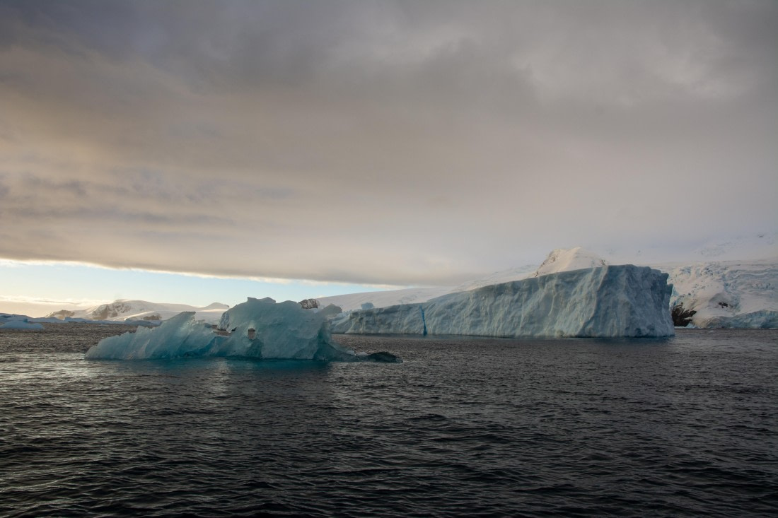 PLA32-25, Day 5, Patagonia-184 © Pelin Asfuroglu - Oceanwide Expeditions.jpg