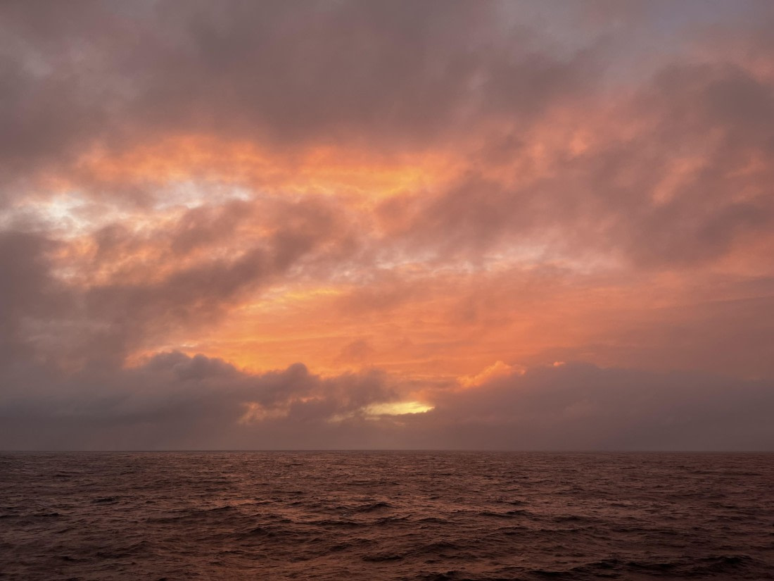 PLA32-25, Day 6, IMG_8453 © Unknown photographer - Oceanwide Expeditions.jpg