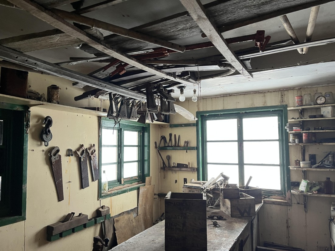 PLA32-25, Day 7, IMG_3557 © Unknown photographer - Oceanwide Expeditions.JPG