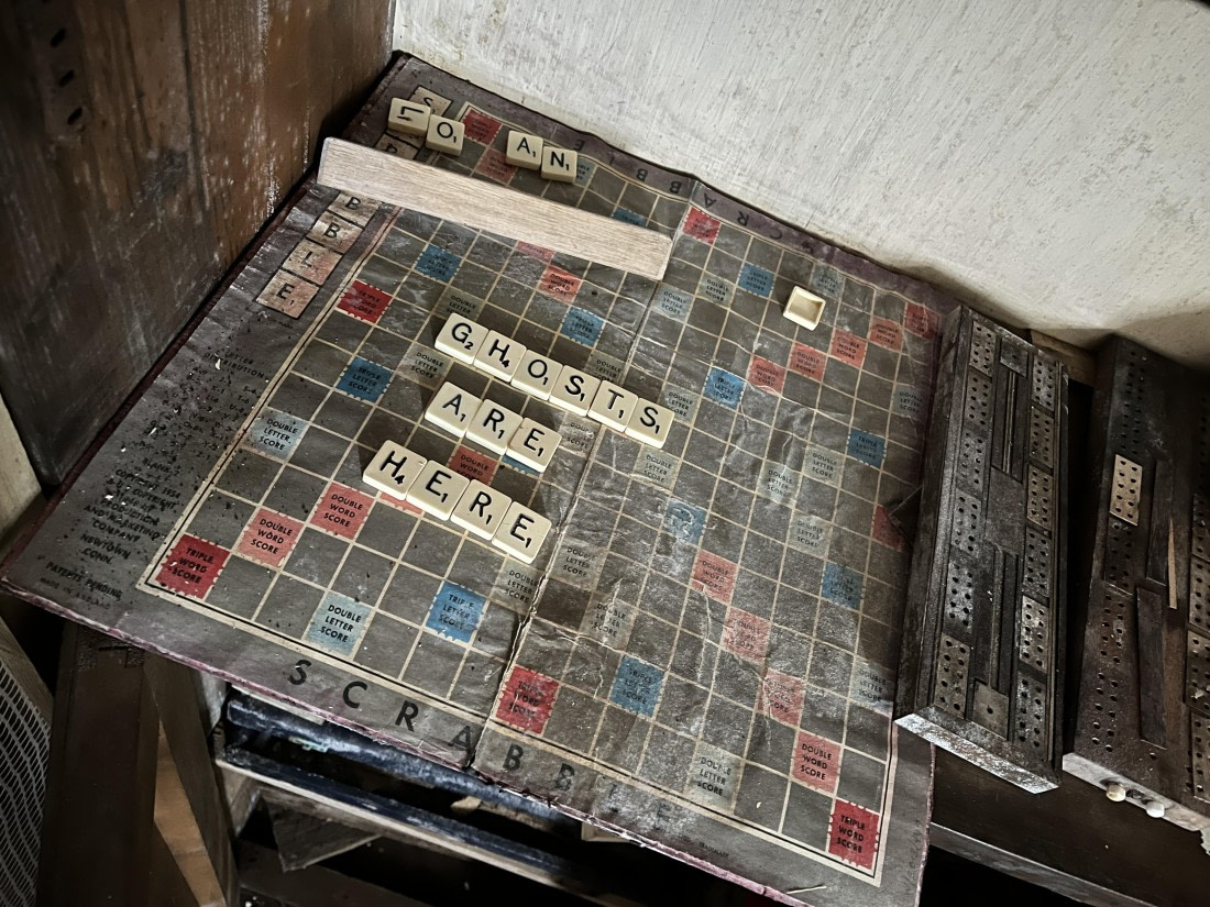 PLA32-25, Day 7, IMG_3558 © Unknown photographer - Oceanwide Expeditions.JPG