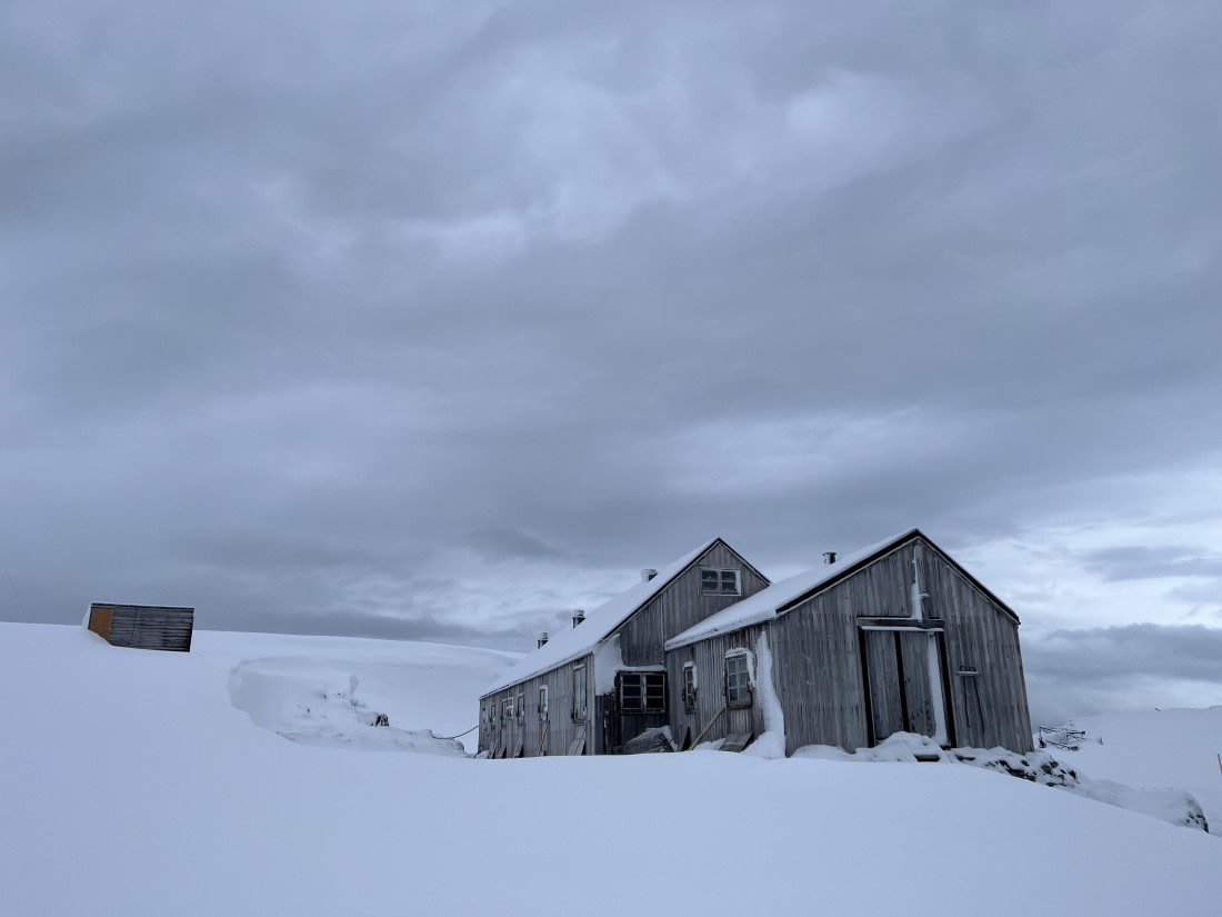 PLA32-25, Day 7, IMG_3560 © Unknown photographer - Oceanwide Expeditions.JPG