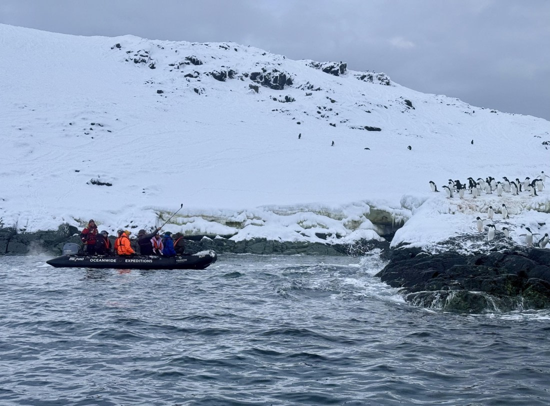 PLA32-25, Day 7, IMG_7930 © Unknown photographer - Oceanwide Expeditions.jpg