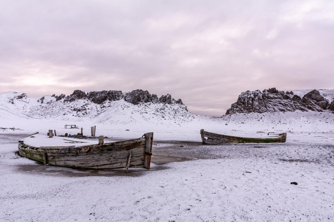 PLA32-25, Day 9, _DSC0428 © Unknown photographer - Oceanwide Expeditions.jpg