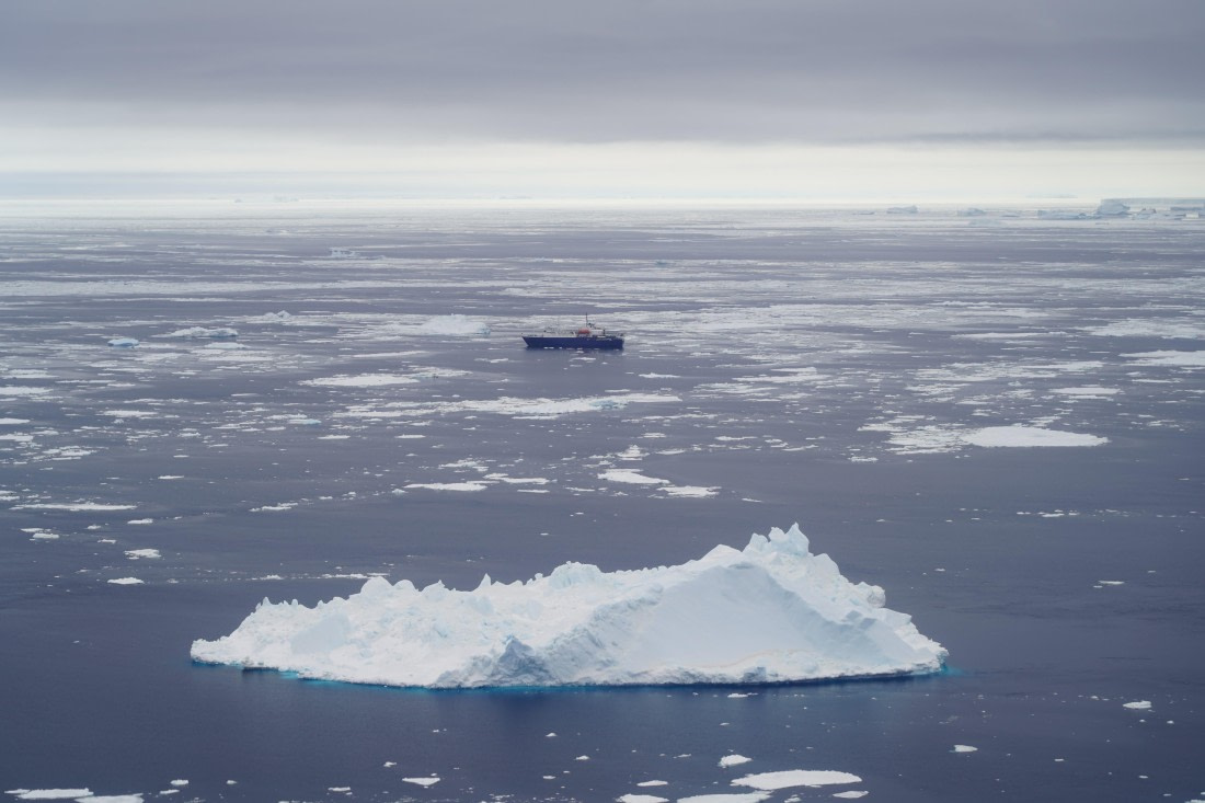 Antarctica, WeddellSea, OTL23-23, A7300428 © Angela Beckwith - Oceanwide Expeditions.JPG
