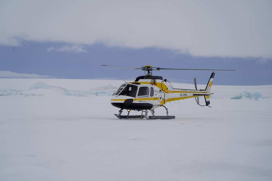 Antarctica, WeddellSea, OTL23-23, A7308428 © Angela Beckwith - Oceanwide Expeditions.JPG