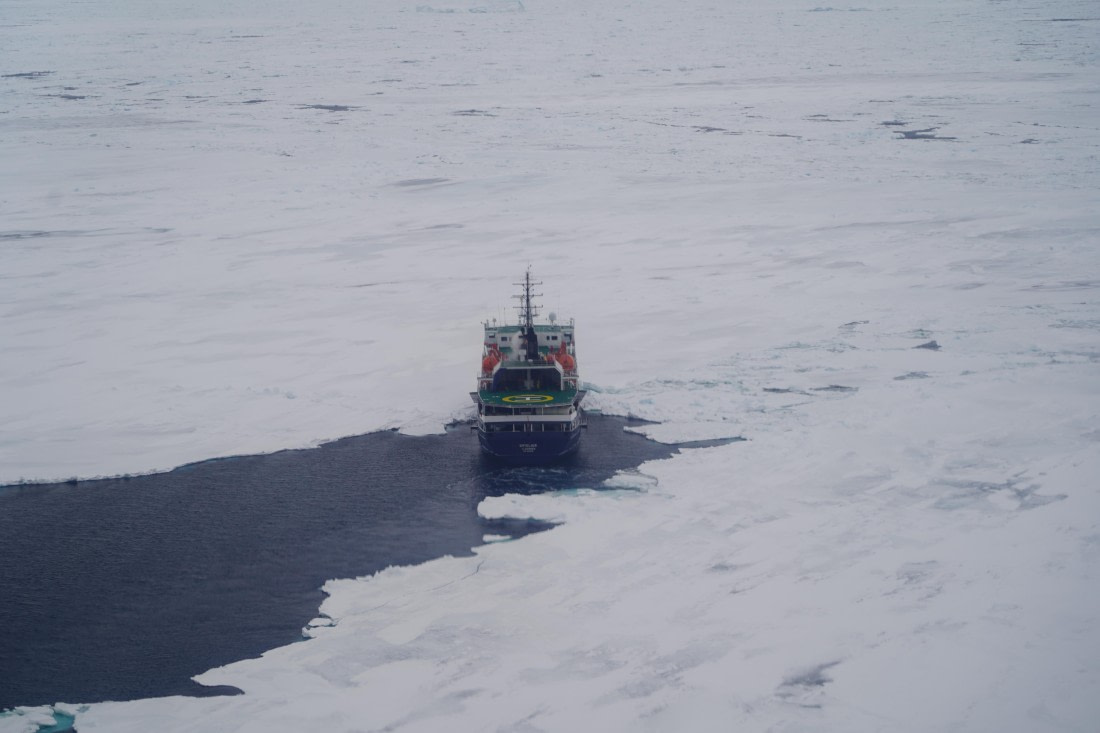 Antarctica, WeddellSea, OTL23-23, A7308469 © Angela Beckwith - Oceanwide Expeditions.JPG