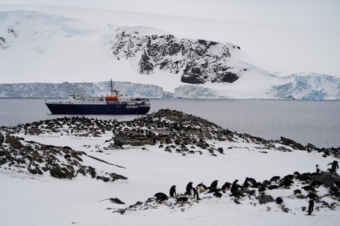Antarctica, WeddellSea, OTL23-23, A7309296 © Angela Beckwith - Oceanwide Expeditions.JPG