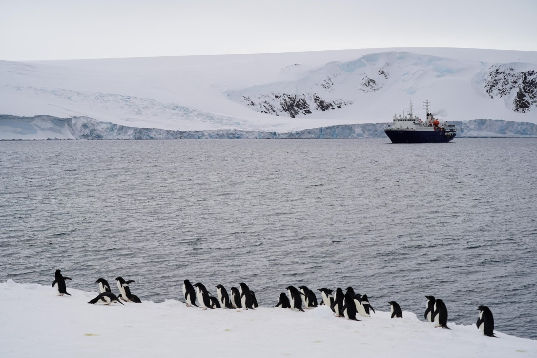 Antarctica, WeddellSea, OTL23-23, A7309393 © Angela Beckwith - Oceanwide Expeditions.JPG