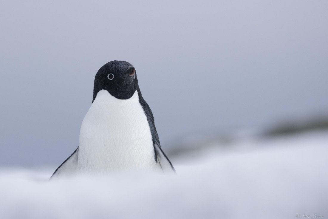 OTL32-25, Day 6, Red rock ridge 1 © Sara Jenner - Oceanwide Expeditions.jpg