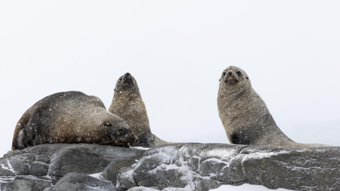 OTL32-25, Day 6, Red rock ridge 2 © Sara Jenner - Oceanwide Expeditions.jpg