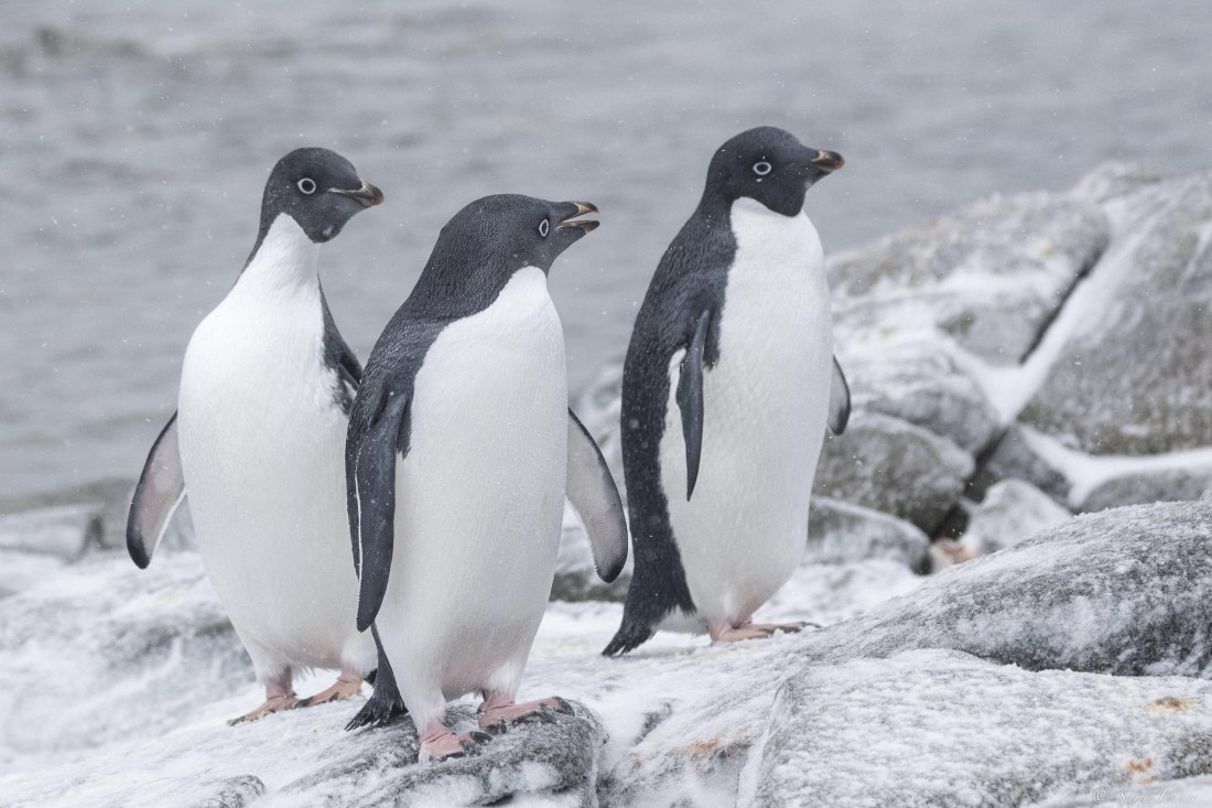 OTL32-25, Day 6, Red rock ridge 3 © Sara Jenner - Oceanwide Expeditions.jpg