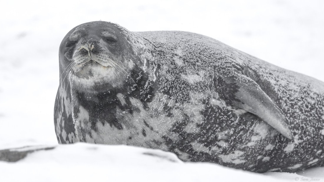 OTL32-25, Day 6, Red rock ridge 4 © Sara Jenner - Oceanwide Expeditions.jpg