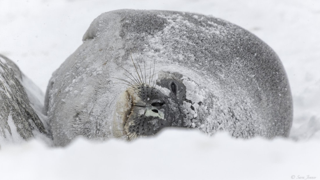 OTL32-25, Day 6, Red rock ridge 5 © Sara Jenner - Oceanwide Expeditions.jpg