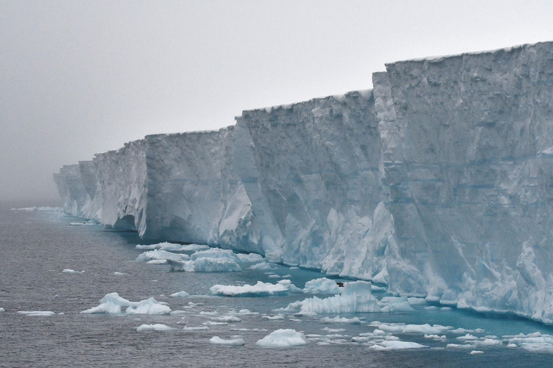 OTL32-25, Day 8, Wilkins Iceshelf Sas2 © Saskia van der Meij - Oceanwide Expeditions.JPG