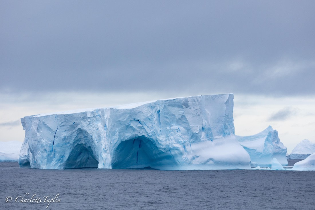 OTL32-25, Day 9, FZ1A6128 © Charlotte Taplin - Oceanwide Expeditions.jpg