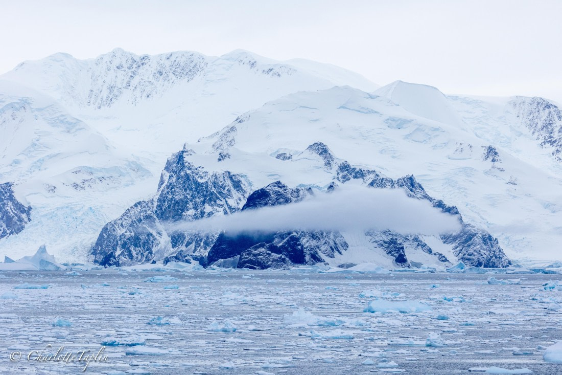 OTL32-25, Day 9, FZ1A6136 © Charlotte Taplin - Oceanwide Expeditions.jpg