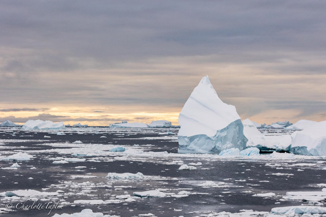 OTL32-25, Day 9, FZ1A6148 © Charlotte Taplin - Oceanwide Expeditions.jpg