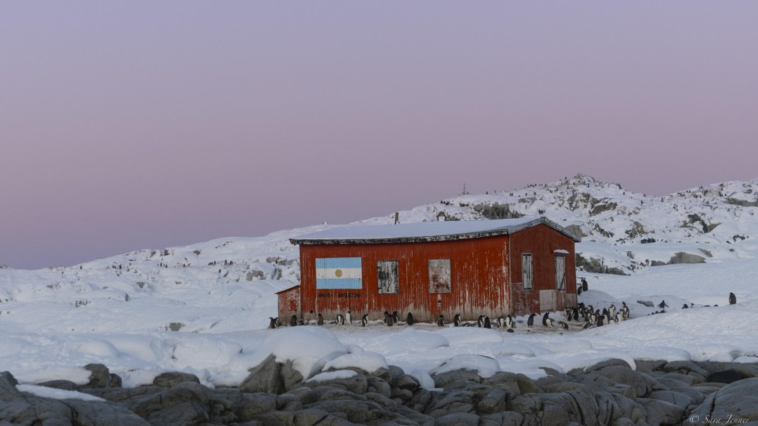 OTL32-25, Day 12, Petermann Island 1 © Sara Jenner - Oceanwide Expeditions.jpg