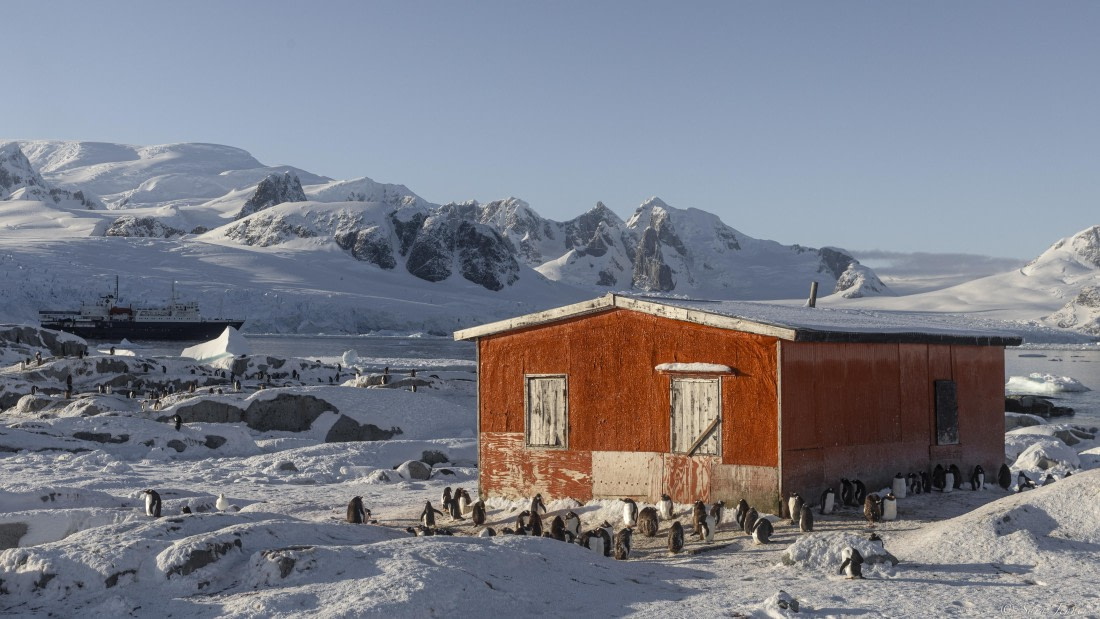 OTL32-25, Day 12, Petermann Island 2 © Sara Jenner - Oceanwide Expeditions.jpg