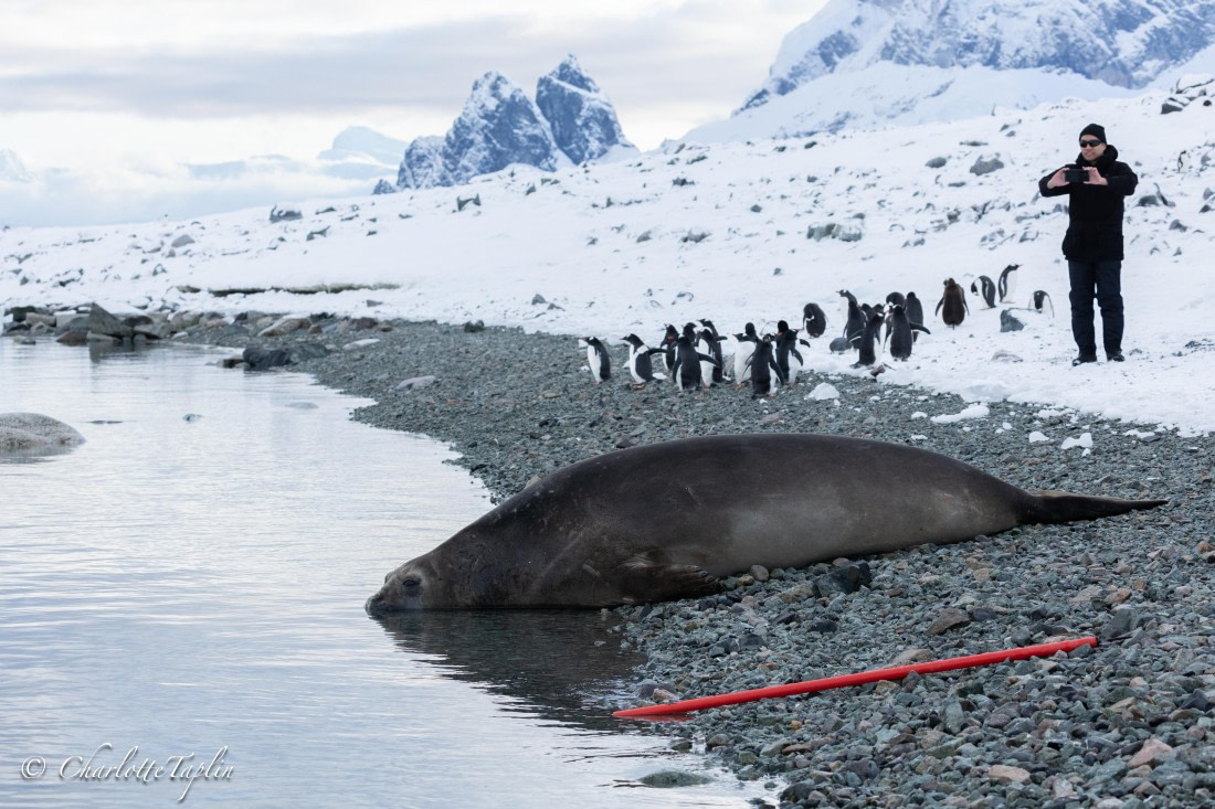 OTL32-25, Day 13, FZ1A6747 © Charlotte Taplin - Oceanwide Expeditions.jpg