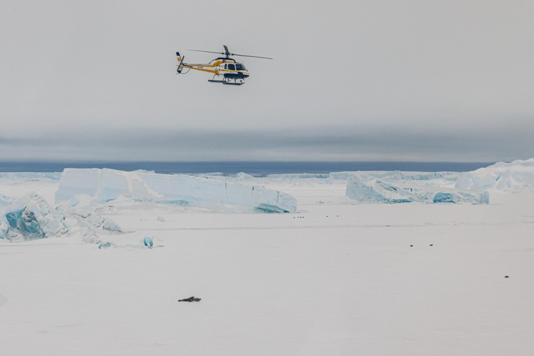 Antarctica, WeddellSea, OTL23-23, Snow Hill, WKR58310 © Werner Kruse - Oceanwide Expeditions.jpg