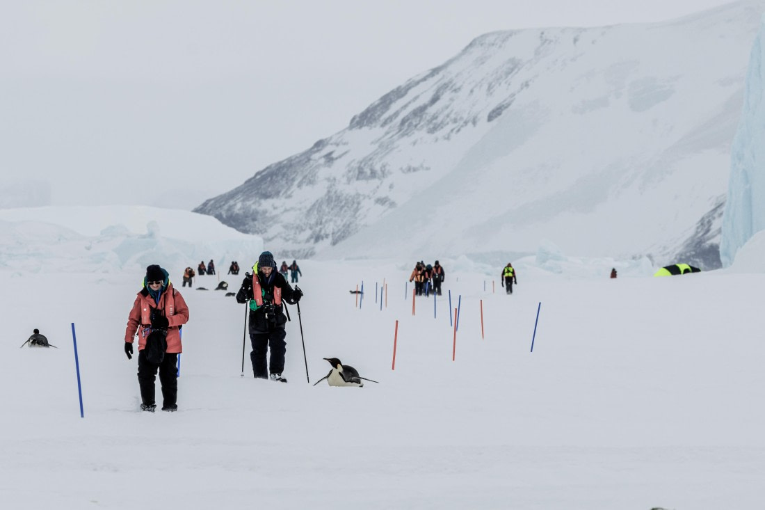 Antarctica, WeddellSea, OTL23-23, Snow Hill, WKR74542 © Werner Kruse - Oceanwide Expeditions.jpg