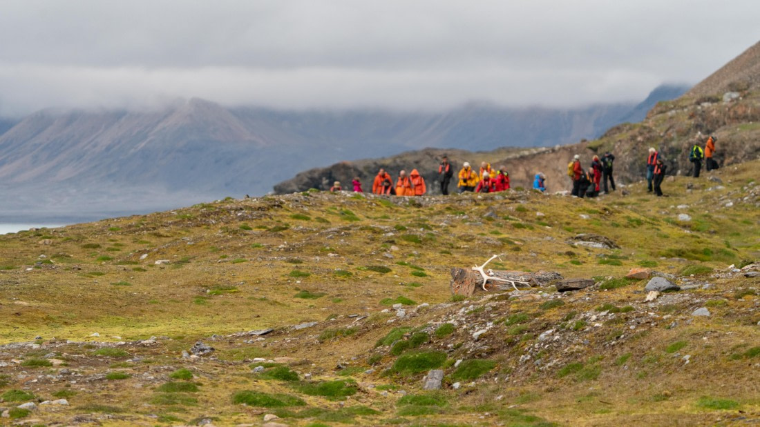 2024, Svalbard, DSC4530 © Enrico Pescantini - Oceanwide Expeditions.jpg