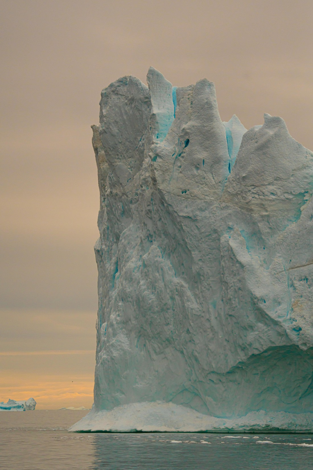 2024, Greenland, DSC9410 © Enrico Pescantini - Oceanwide Expeditions.jpg