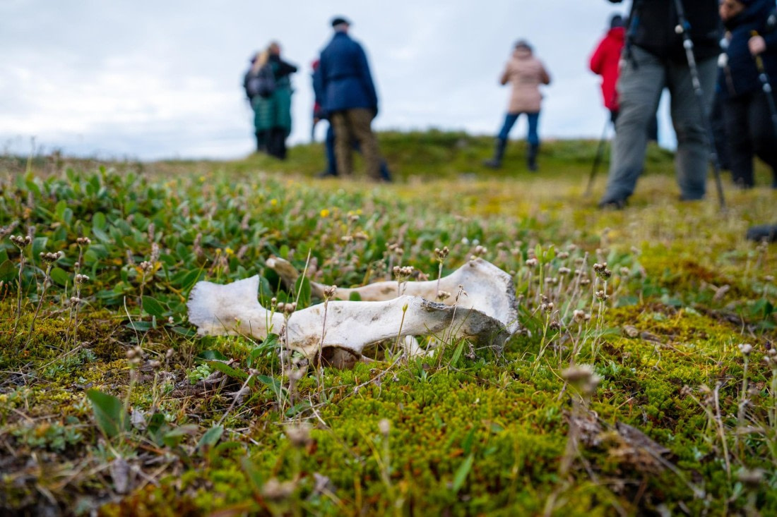 OEX-SP-GL-JM-SP_2022-230 © Geert Kroes - Oceanwide Expeditions.jpg
