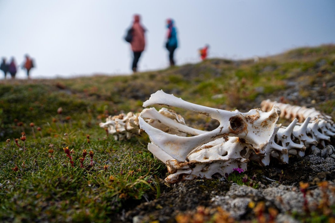OEX-SP-GL-JM-SP_2022-115 © Geert Kroes - Oceanwide Expeditions.jpg