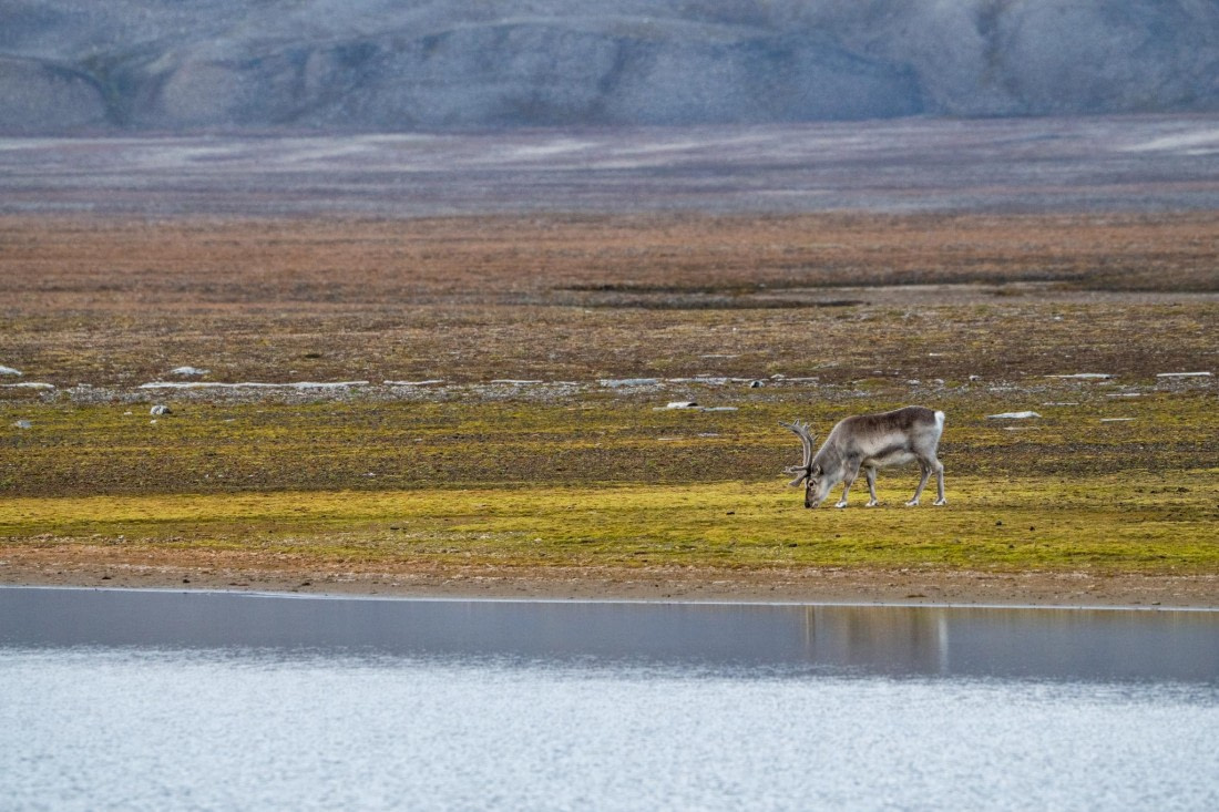 OEX-SP-GL-JM-SP_2022-347 © Geert Kroes - Oceanwide Expeditions.jpg