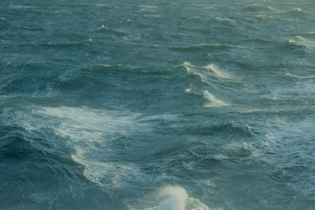 HDS31-25, Day 1, IMG_2678 © Eduardo Rubio - Oceanwide Expeditions.JPG