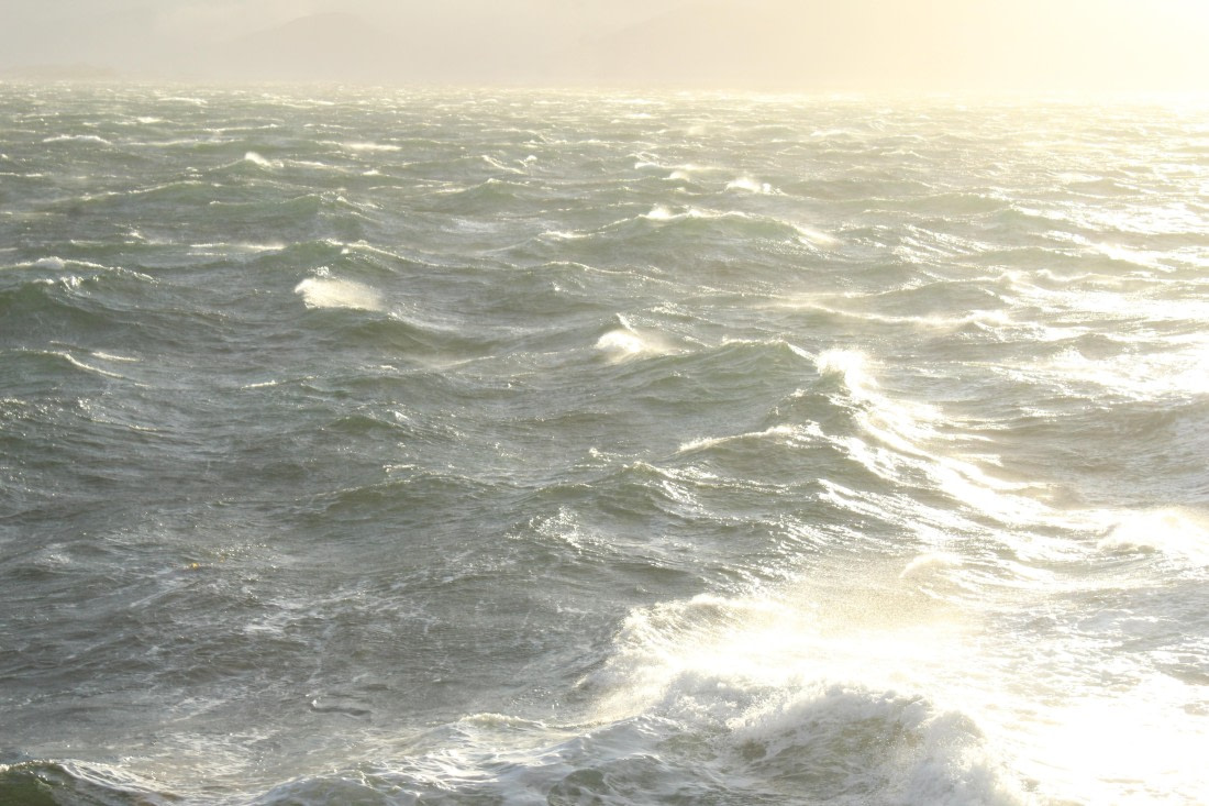 HDS31-25, Day 1, IMG_2680 © Eduardo Rubio - Oceanwide Expeditions.JPG