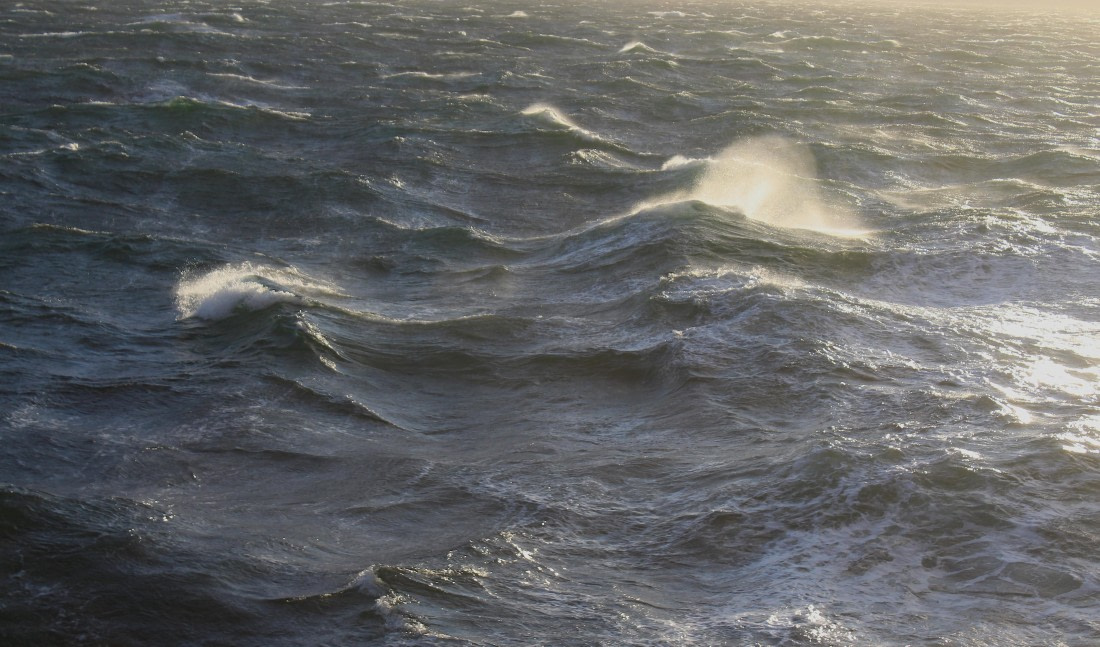 HDS31-25, Day 1, IMG_2683 © Eduardo Rubio - Oceanwide Expeditions.JPG