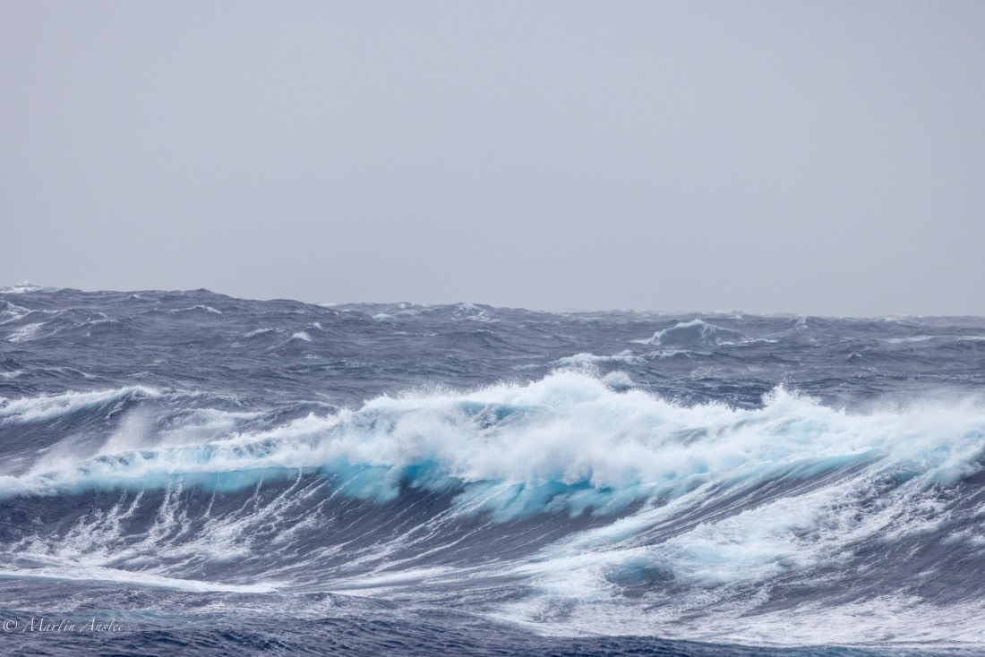 HDS31-25, Day 2, 088A9215 © Martin Anstee - Oceanwide Expeditions.jpg