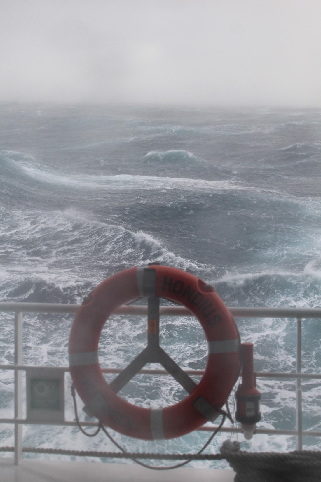 HDS31-25, Day 2, IMG_2705 © Eduardo Rubio - Oceanwide Expeditions.JPG