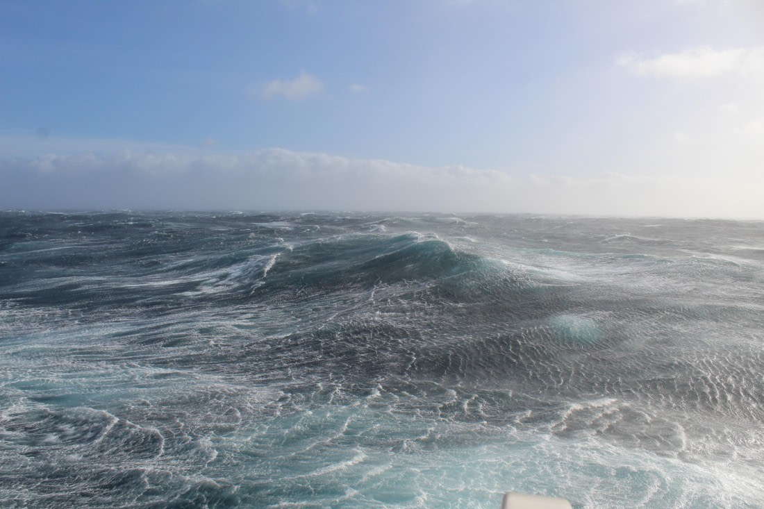 HDS31-25, Day 2, IMG_2706 © Eduardo Rubio - Oceanwide Expeditions.JPG