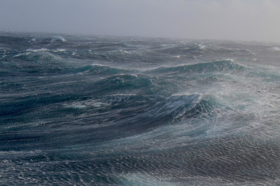 HDS31-25, Day 2, IMG_2707 © Eduardo Rubio - Oceanwide Expeditions.JPG