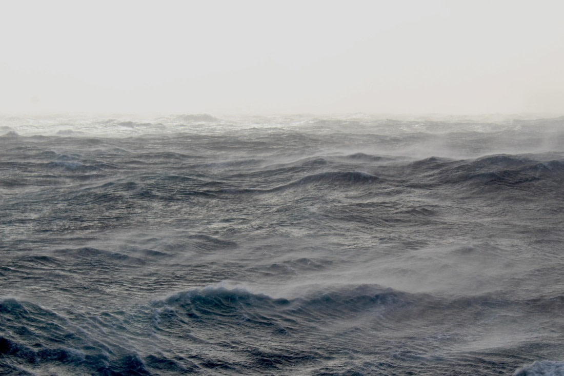 HDS31-25, Day 2, IMG_2711 © Eduardo Rubio - Oceanwide Expeditions.JPG