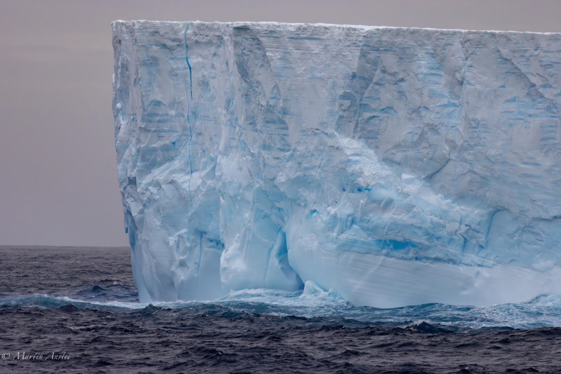 HDS31-25, Day 5, 088A9720-Enhanced-NR © Martin Anstee - Oceanwide Expeditions.jpg