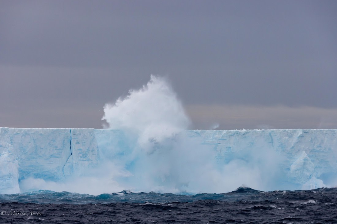 HDS31-25, Day 5, 088A9721-Enhanced-NR © Martin Anstee - Oceanwide Expeditions.jpg