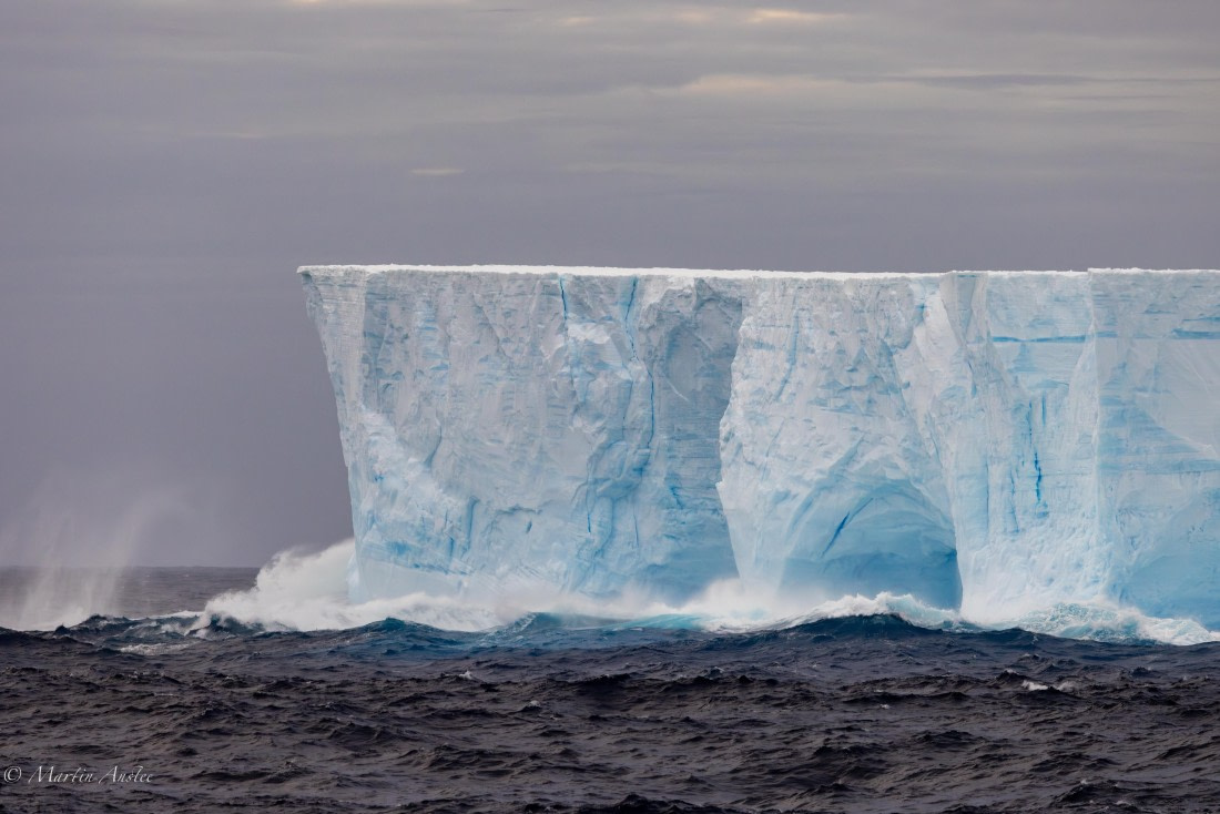 HDS31-25, Day 5, 088A9728-Enhanced-NR © Martin Anstee - Oceanwide Expeditions.jpg
