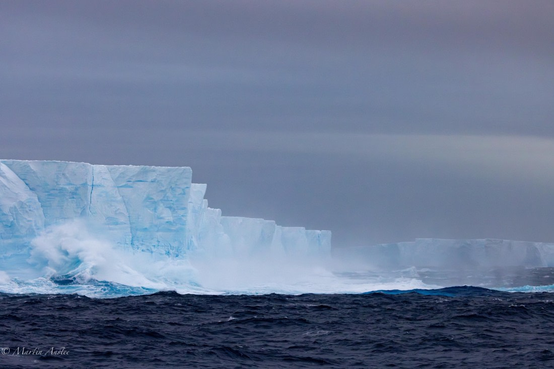 HDS31-25, Day 5, 088A9740-Enhanced-NR © Martin Anstee - Oceanwide Expeditions.jpg