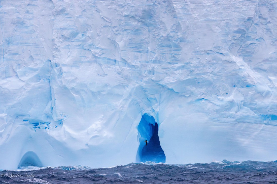 HDS31-25, Day 5, 088A9746-Enhanced-NR © Martin Anstee - Oceanwide Expeditions.jpg