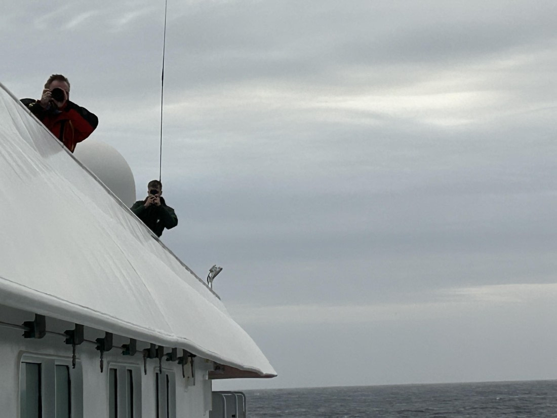 HDS31-25, Day 5, IMG_5436 © Unknown photographer - Oceanwide Expeditions.jpeg