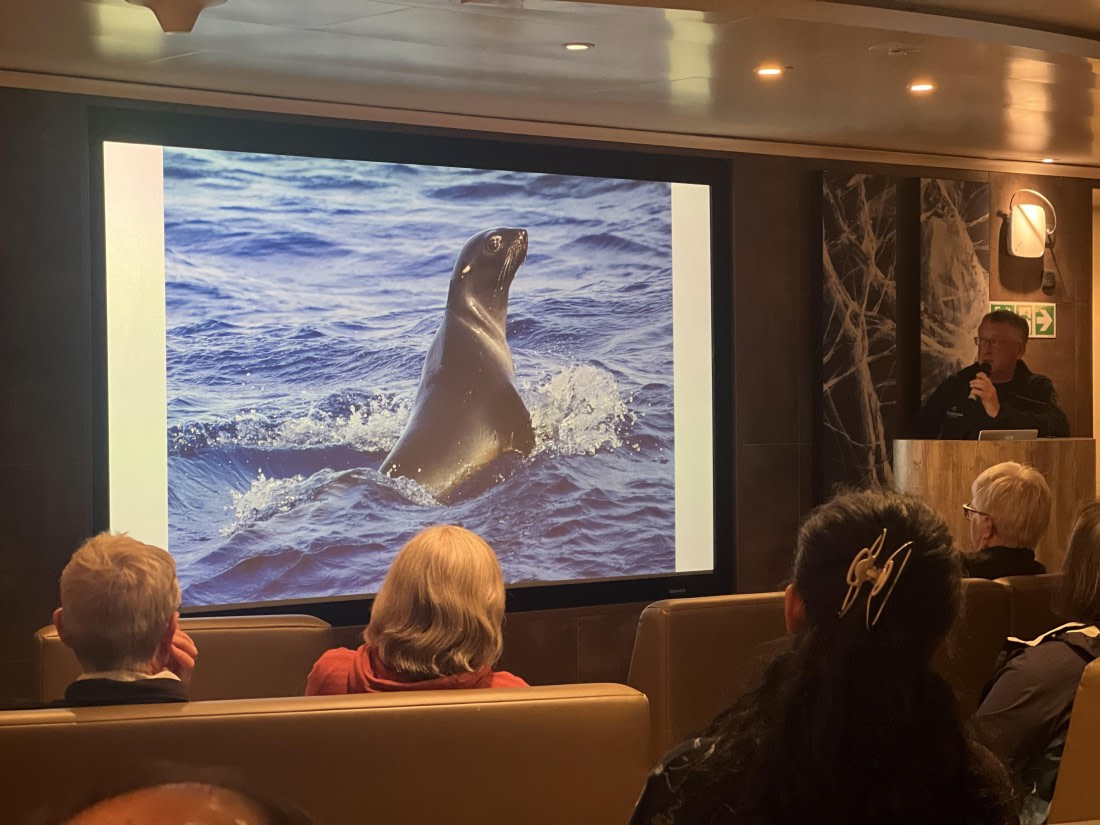 HDS31-25, Day 5, IMG_7048 © Unknown photographer - Oceanwide Expeditions.jpeg