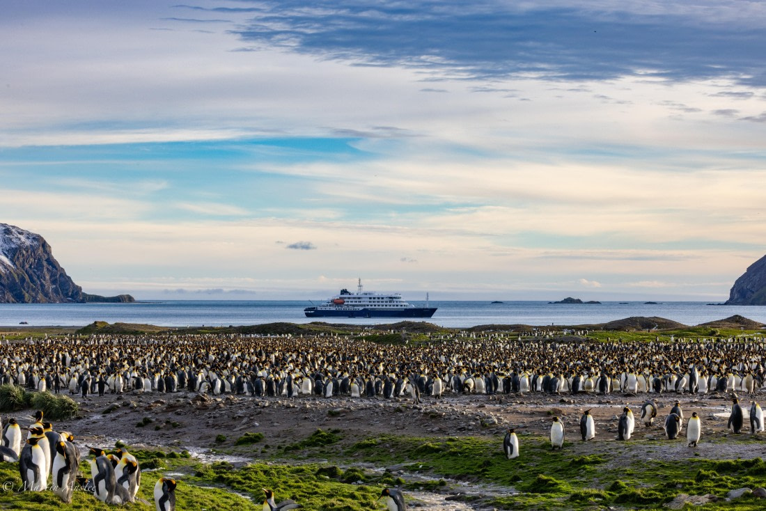HDS31-25, Day 6, 088A9762 © Martin Anstee - Oceanwide Expeditions.jpg