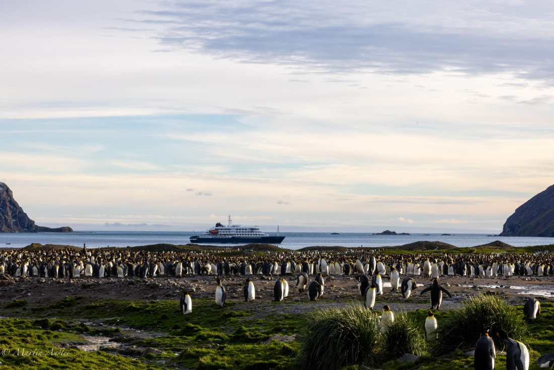 HDS31-25, Day 6, 088A9765 © Martin Anstee - Oceanwide Expeditions.jpg