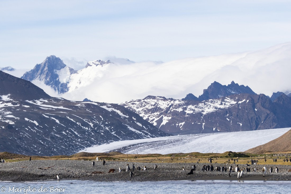 HDS31-25, Day 6, 20250328-398A5694 © Marijke de Boer - Oceanwide Expeditions.jpg