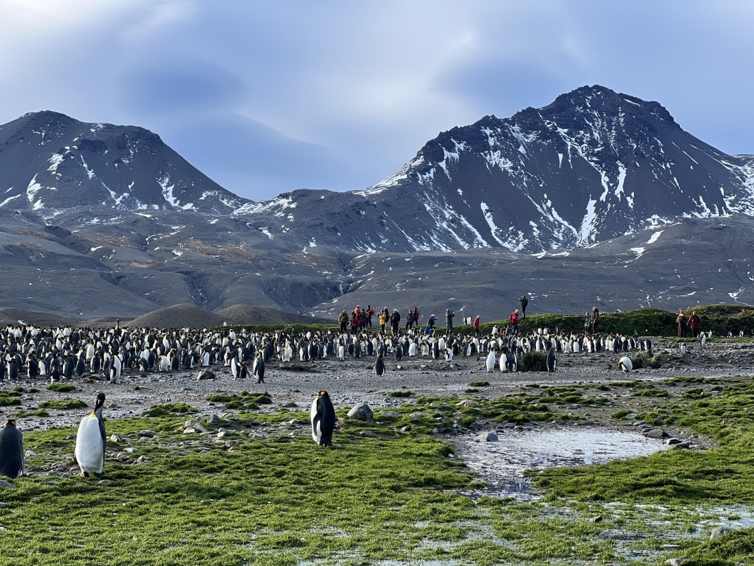 HDS31-25, Day 6, IMG_7086 © Elizabeth Robinson - Oceanwide Expeditions.jpeg